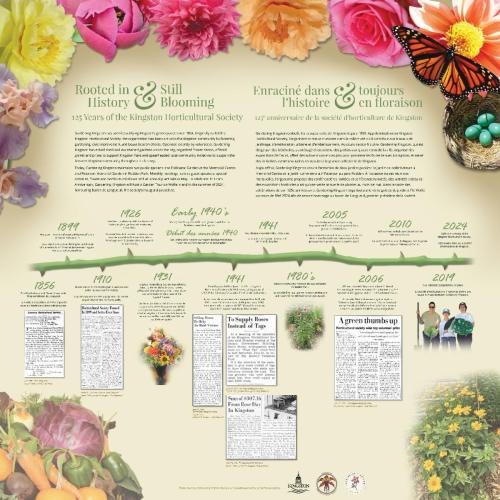 Rooted in History & Still Blooming